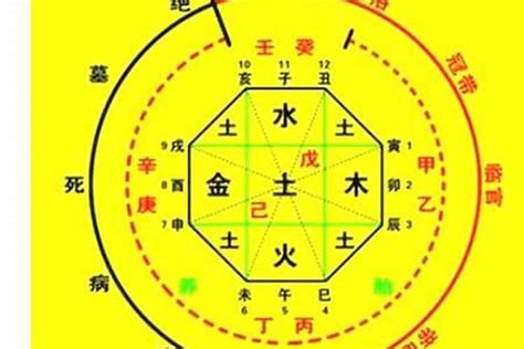 喜用神金意思|命理知识：喜神是金什么意思